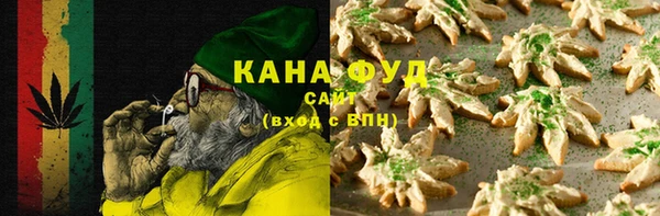 Альфа ПВП Аркадак