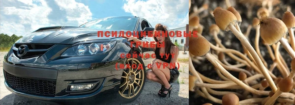 mdpv Армянск