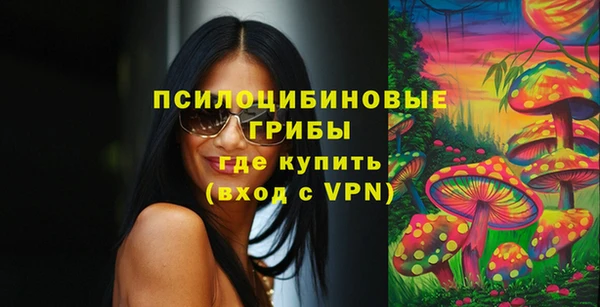 Альфа ПВП Аркадак