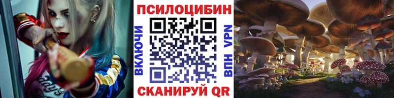 купить наркотики цена МЕГА зеркало Псилоцибиновые грибы Psilocybe Красково